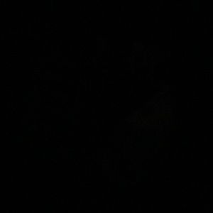 Meet your Posher, Jasmin